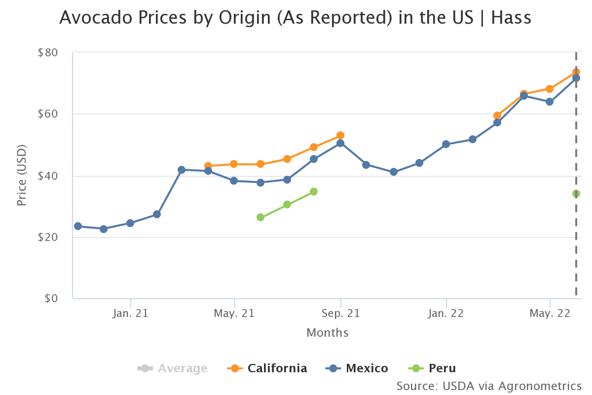 avocado prices by origin 4
